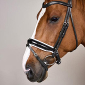 Bride de dressage Vernie/Doublée Blanc WC Noir Bride de dressage Vernie/Doublée Blanc WC Noir
