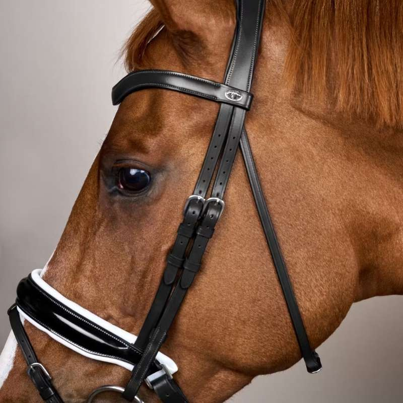 Bride de dressage Vernie/Doublée Blanc WC Noir