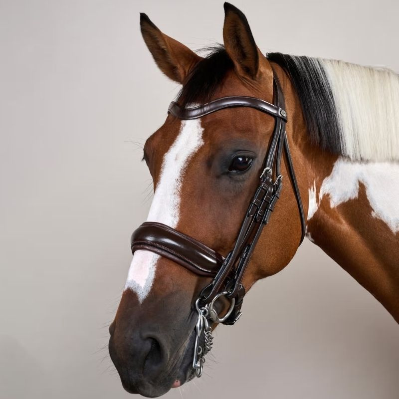 Bride de dressage Mate Working Collection Marron
