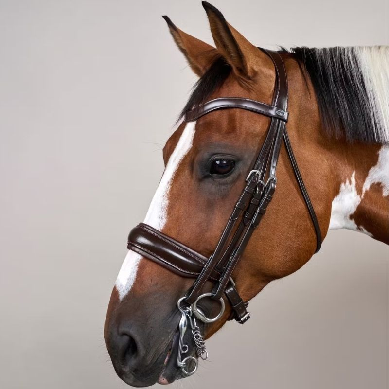 Bride de dressage Mate Working Collection Marron