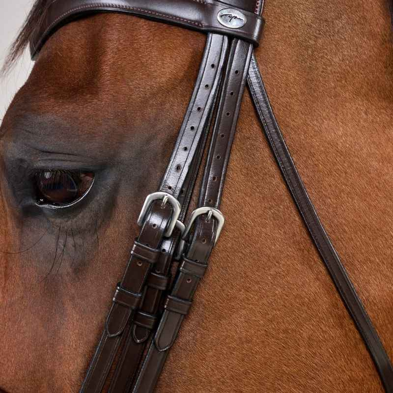 Bride de dressage Mate Working Collection Marron