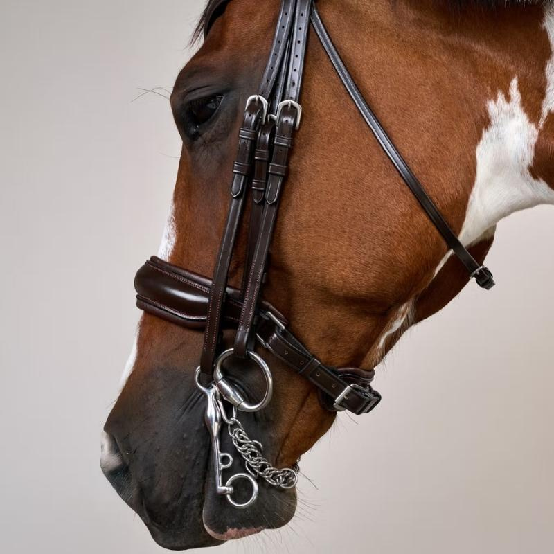 Bride de dressage Mate Working Collection Marron