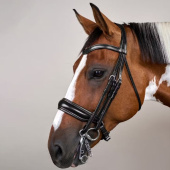 Bride de dressage Mat WC Noir Bride de dressage Mat WC Noir