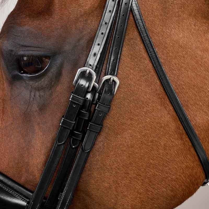 Bride de dressage Mat WC Noir