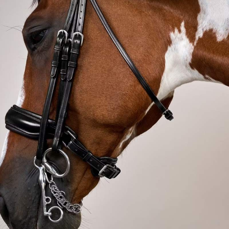 Bride de dressage Mat WC Noir