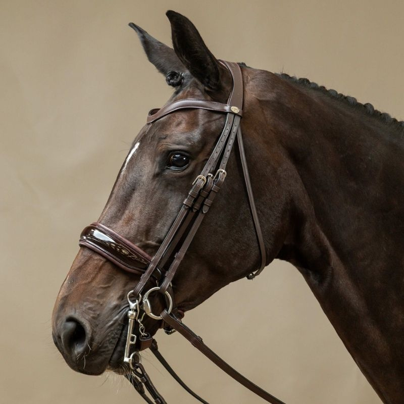 Bride de dressage Laqué Working Collection Marron