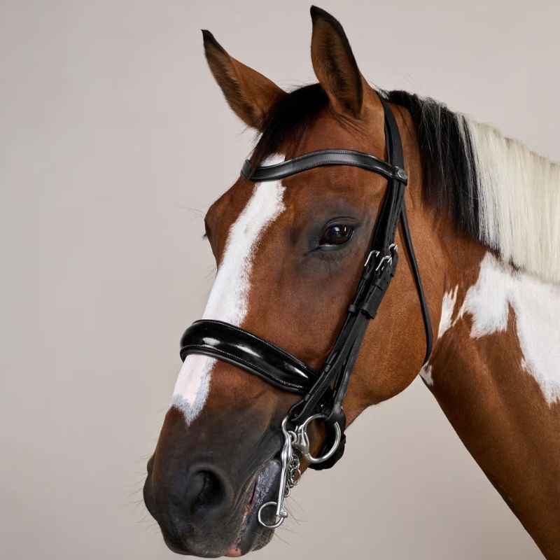 Bride de dressage Laqué WC Noir