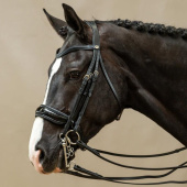 Bride de dressage Laqué Working Collection Noir Bride de dressage Laqué Working Collection Noir