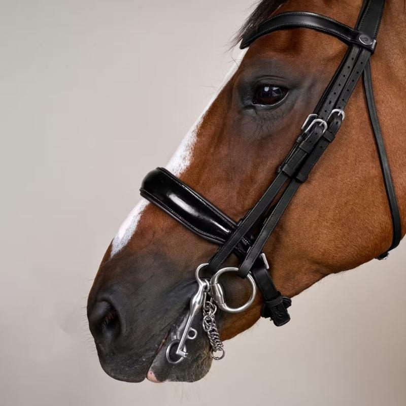 Bride de dressage Laqué WC Noir