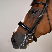 Bride de dressage Laqué WC Noir Bride de dressage Laqué WC Noir
