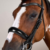 Bride de dressage Laqué WC Noir Bride de dressage Laqué WC Noir