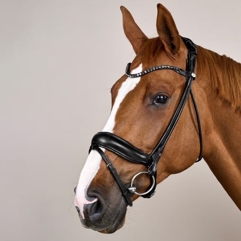 Bridon de dressage ComfoHead Working Collection Noir