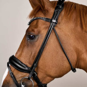 Bridon de dressage ComfoHead Working Collection Noir Bridon de dressage ComfoHead Working Collection Noir