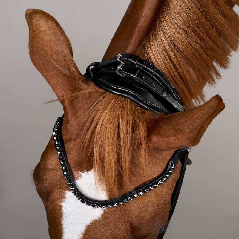 Bridon de dressage ComfoHead Working Collection Noir