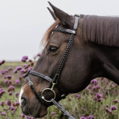 Bridon Plaited Training Working Collection Noir Bridon Plaited Training Working Collection Noir