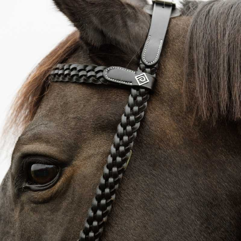 Bridon Plaited Training Working Collection Noir