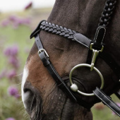 Bridon Plaited Training Working Collection Noir Bridon Plaited Training Working Collection Noir