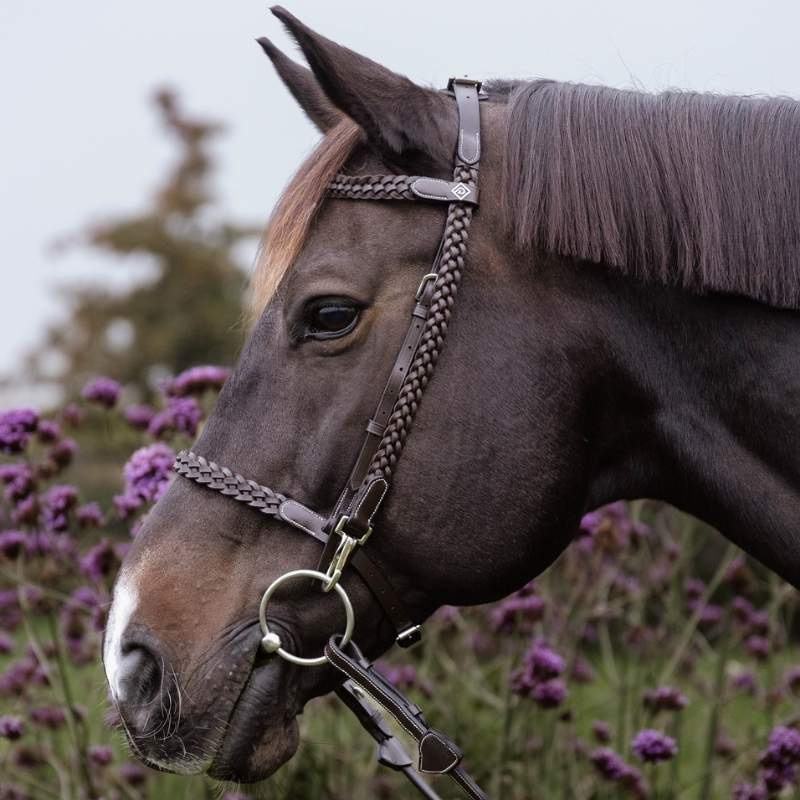 Bridon Plaited Training Working Collection Marron