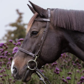 Bridon Plaited Training Working Collection Marron Bridon Plaited Training Working Collection Marron