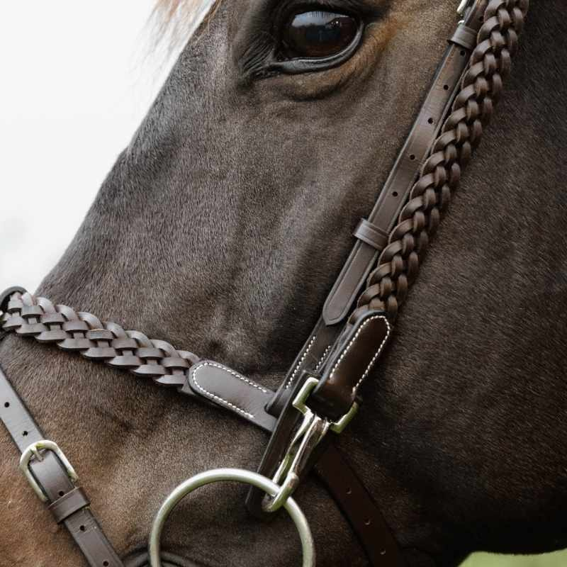 Bridon Plaited Training Working Collection Marron